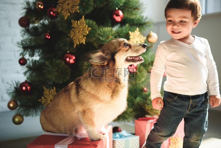 可爱的男孩看狗在礼物箱子在圣诞