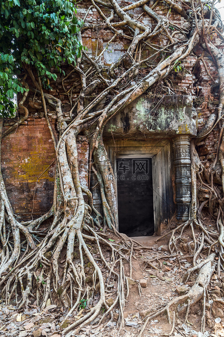 古代寺庙岛柯，柬埔寨