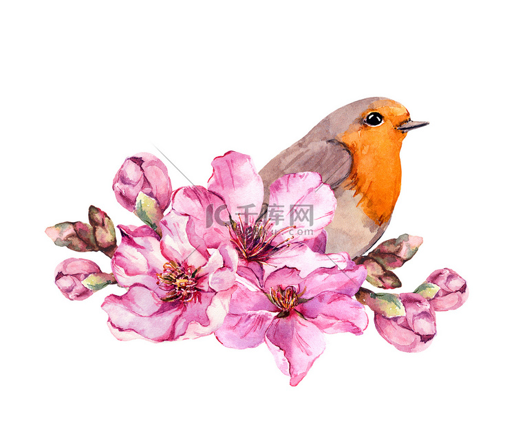 春天的鸟在开花的分枝与粉红色的