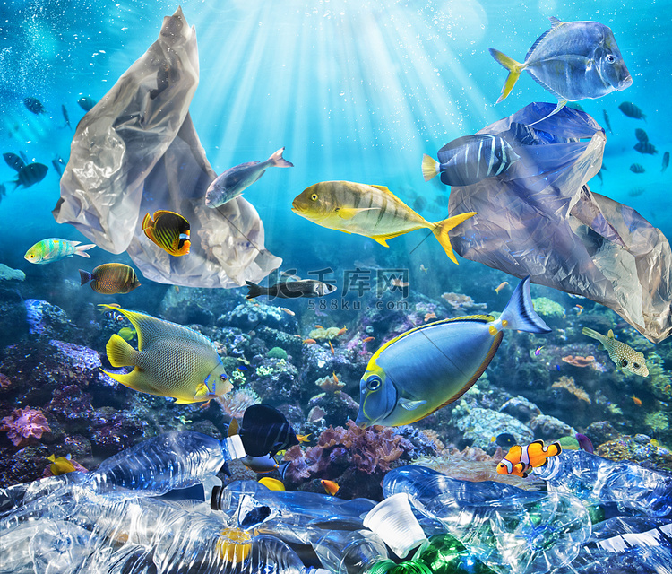 鱼用漂浮的袋子游泳。海洋下塑料
