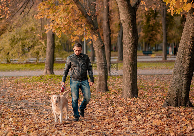 年轻人拥抱金毛猎犬在秋天户外