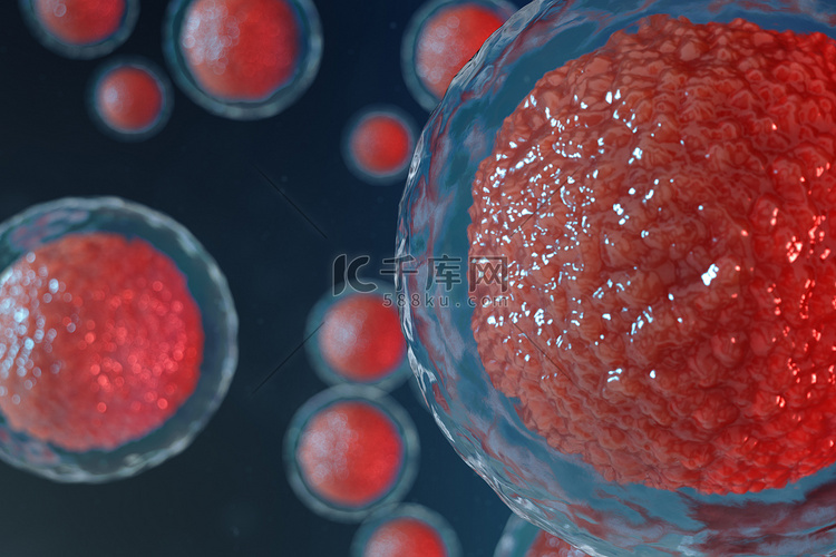 3d 显示卵细胞胚胎。中心有红