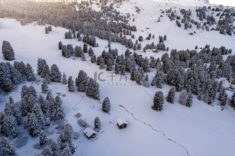 空中的积雪覆盖了阿尔卑斯山的木