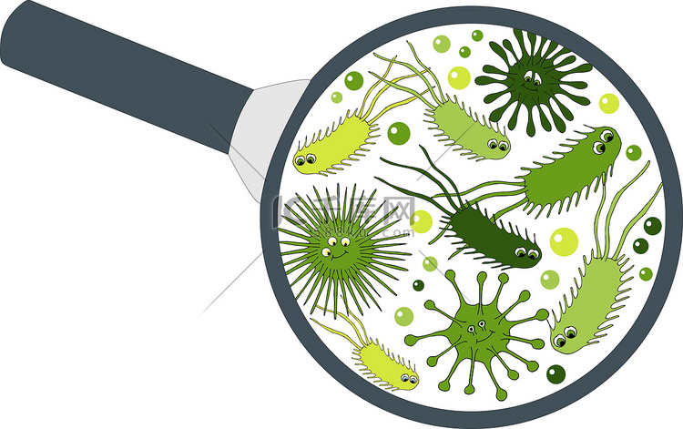 放大镜中的细菌微生物。细菌和细