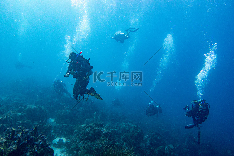 潜水员团队的工作是清理珊瑚礁,