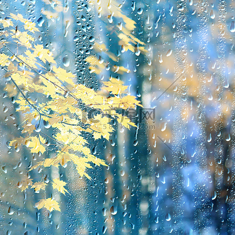 雨窗秋园枝叶黄/抽象秋底，风景