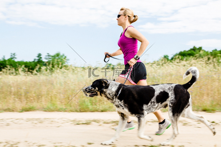 女子赛跑者运行，在夏天自然中狗