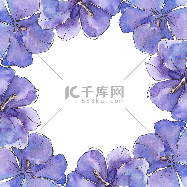 蓝色紫色亚麻。花植物学花。野生