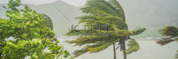 热带暴雨、暴雨及热带气候中的强