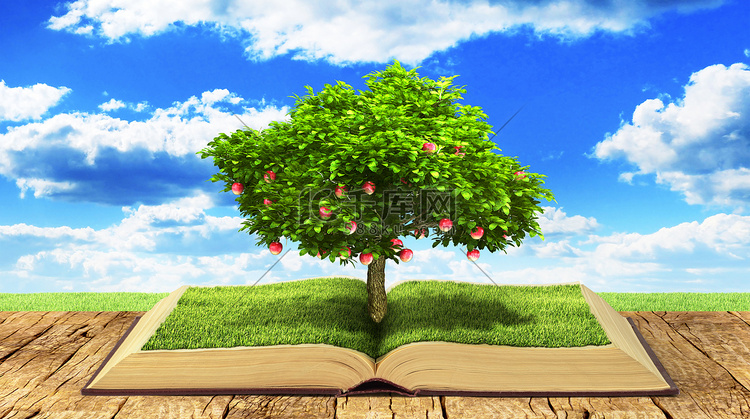 知识的概念。树与水果的知识增长