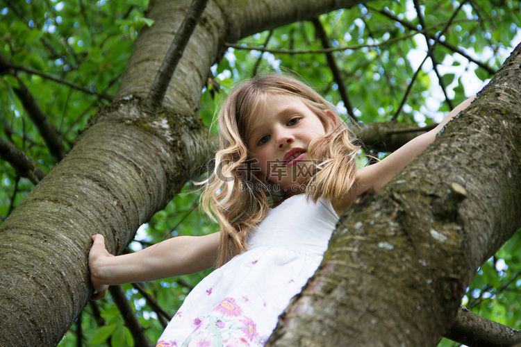 少女爬树写真