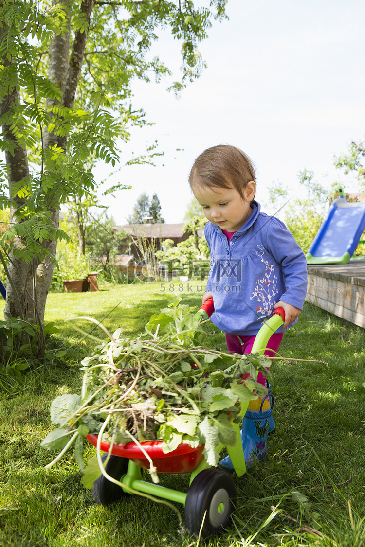 小女孩在花园里推着带杂草的玩具