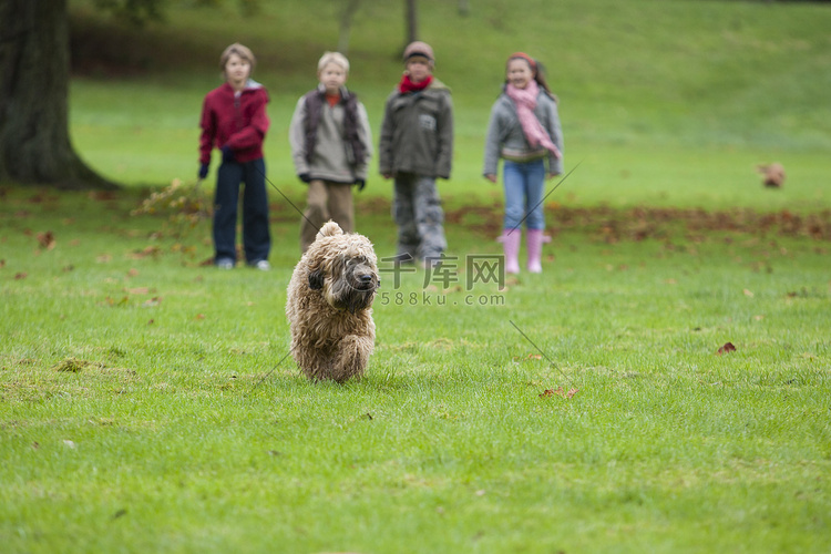 狗在公园里奔跑四个孩子站在背景
