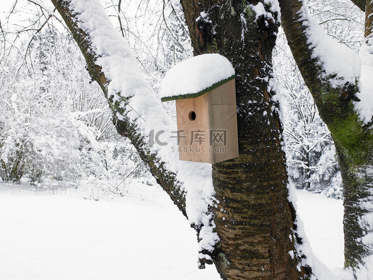 雪下的鸟巢盒子