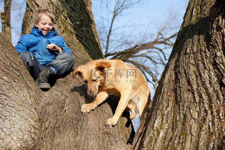 男孩和狗一起爬树