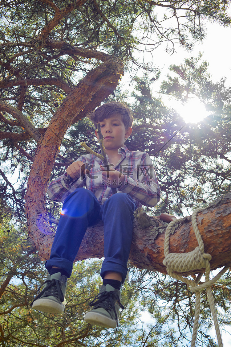 小男孩坐在树上用刀磨棍子