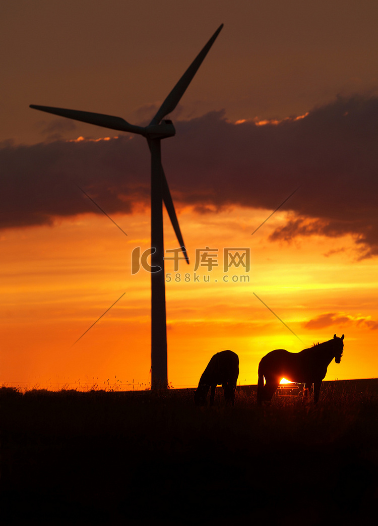 日落时的马匹和风力涡轮机