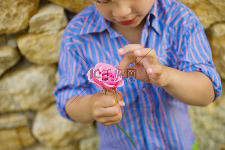 一个男孩从一朵花上摘下花瓣