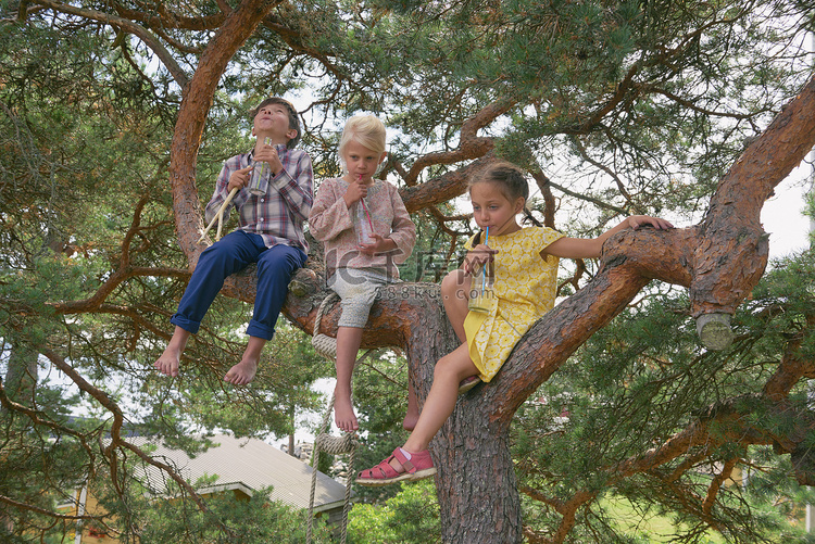一群年轻的朋友坐在树上喝着瓶装