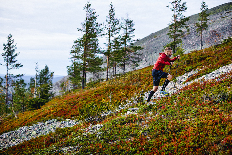 芬兰拉普兰徒步跑步者用徒步旅行