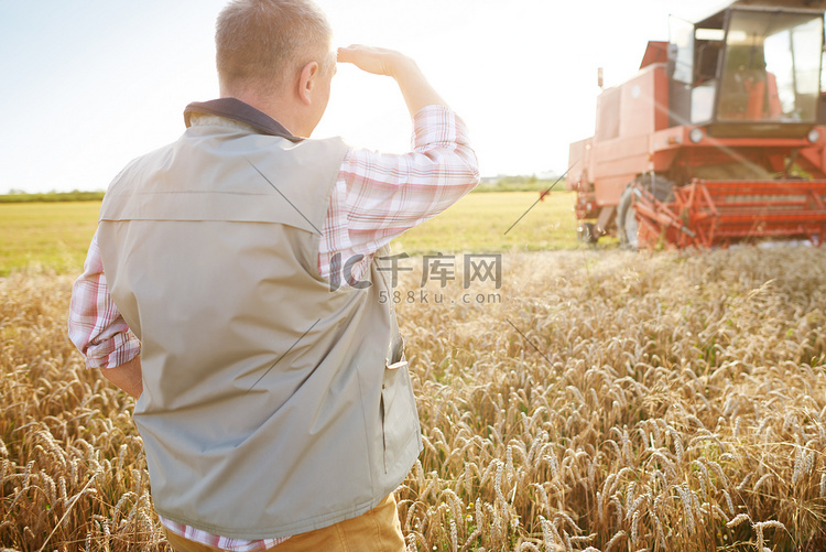 麦田里的农民看着联合收割机的背