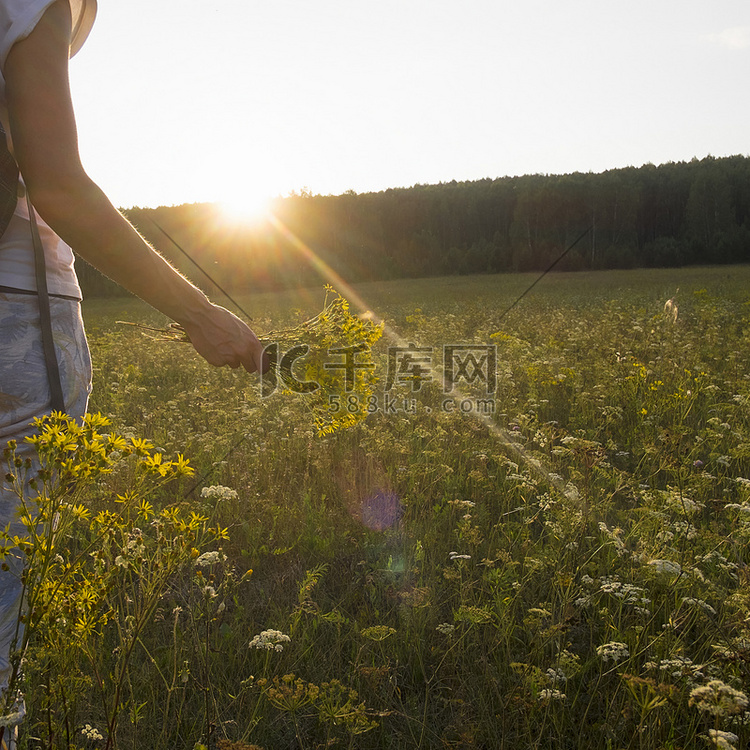 俄罗斯乌拉尔野花草地上的妇女手