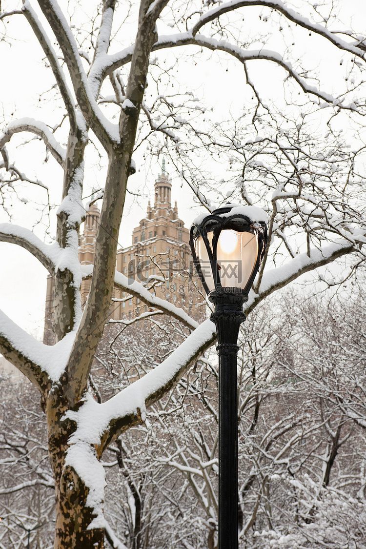 美国纽约市曼哈顿中央公园冬季圣