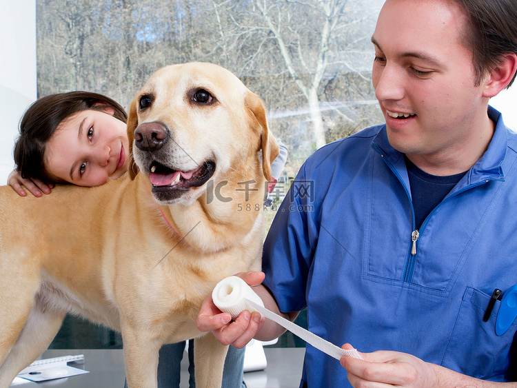 兽医与女孩和她的狗一起工作