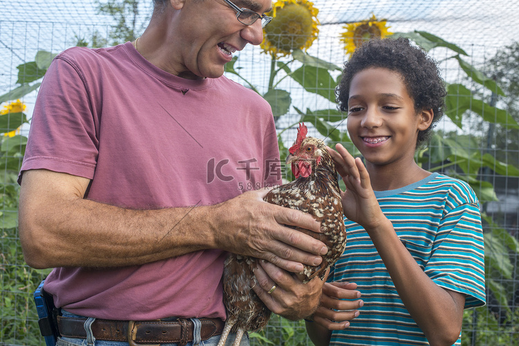 成熟的农民和男孩在农场抚摸母鸡