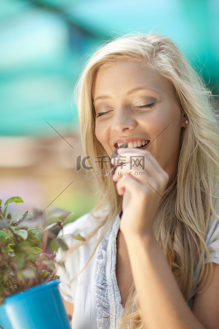 苗圃中的女性气味植物