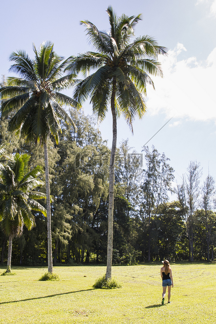 美国夏威夷哈纳女性游客在棕榈树