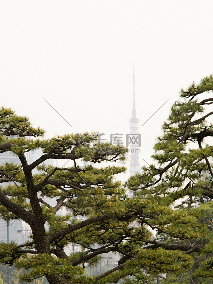 树木和东京塔