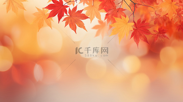 秋季红黄色枫叶秋色背景17