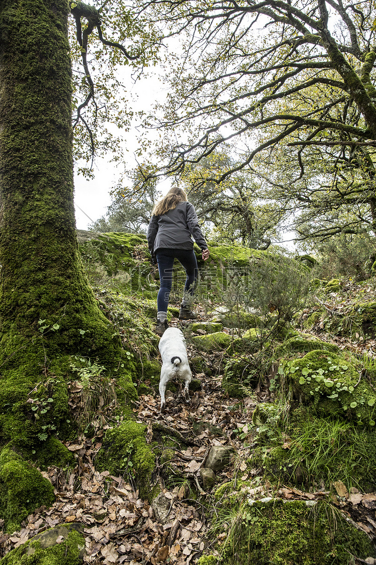西班牙女徒步旅行者和她的狗在林