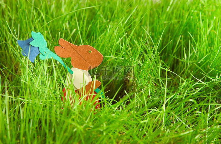 复活节兔子在草地上跑