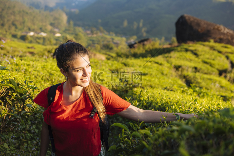 印度喀拉拉邦穆纳尔附近的茶园里