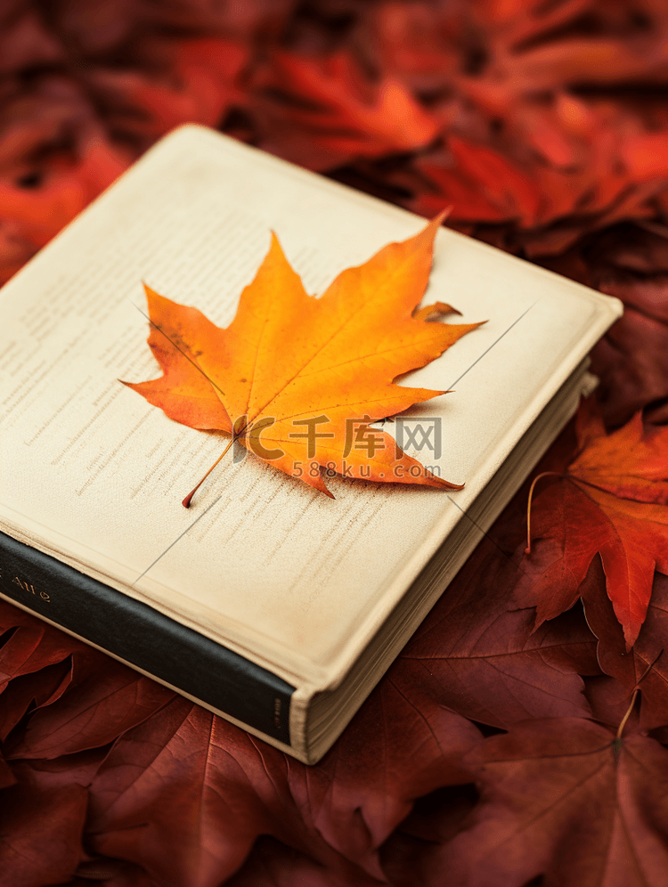 秋天的书籍枫叶摄影
