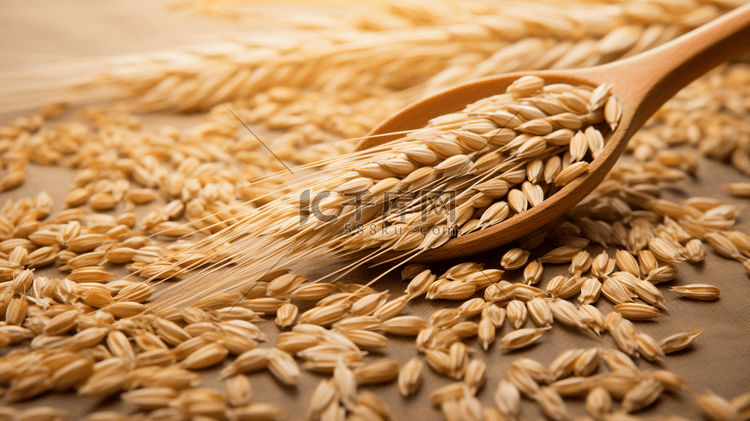 金黄的麦穗麦粒麦子