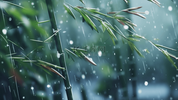 立冬节气雨雪里的竹林场景背景13