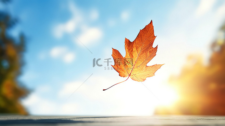 秋天枫叶树叶飘浮空中的树叶17