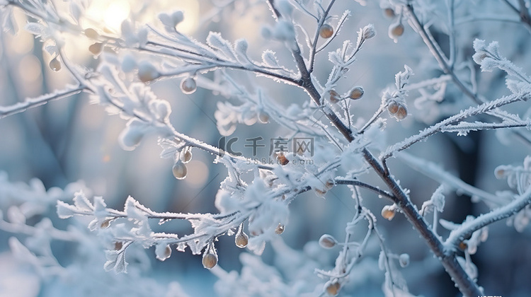 冬季白雪恺恺的森林景色背景13
