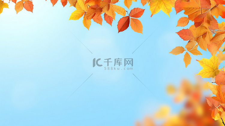 秋叶明亮的蓝天背景19