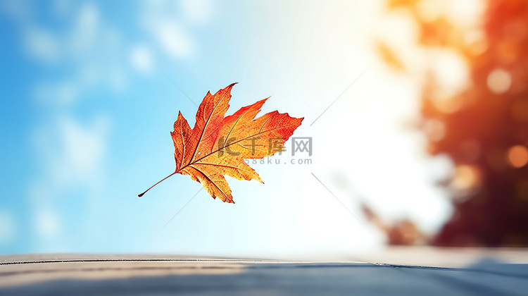 秋天枫叶树叶飘浮空中的树叶15
