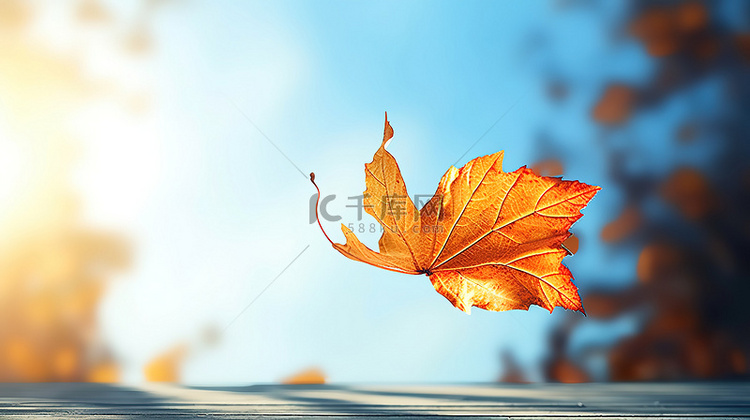 秋天枫叶树叶飘浮空中的树叶8