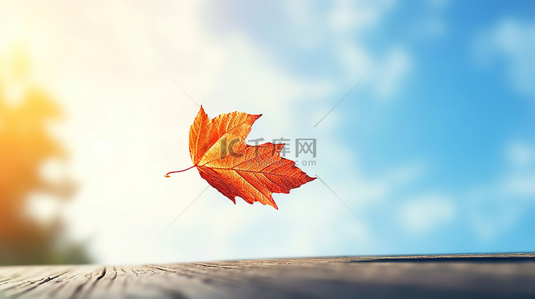 秋天枫叶树叶飘浮空中的树叶1