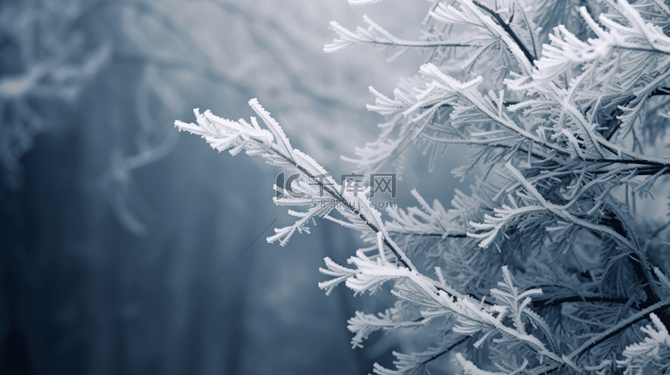 冬季雾凇植物质感背景11