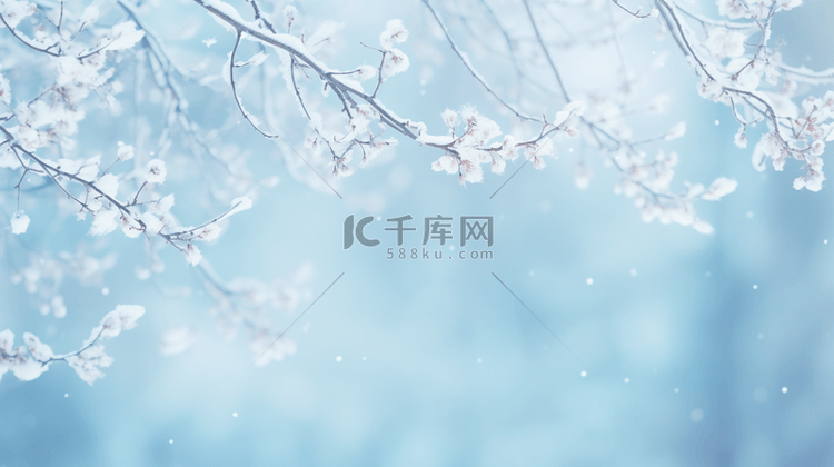 蓝色冬天风景雪中的花枝