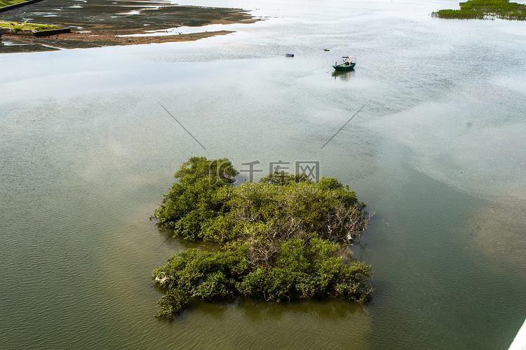 海南红树林海滩