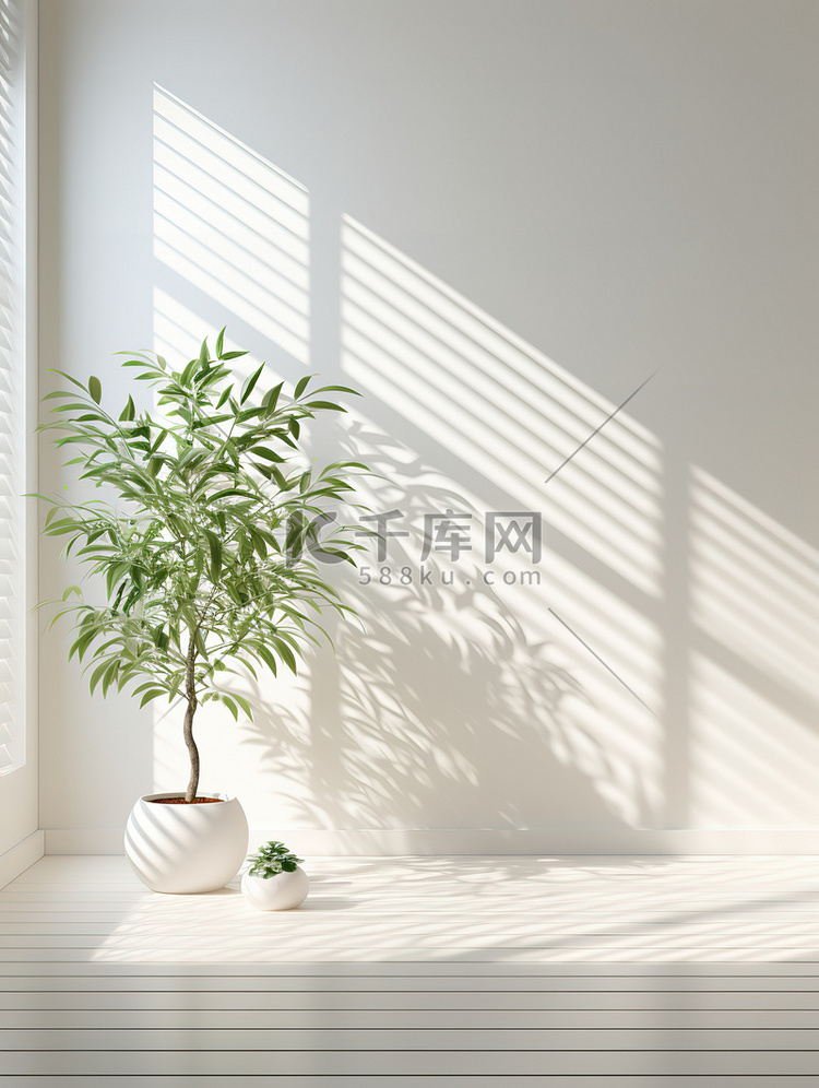 植物和百叶窗的空墙电商背景1