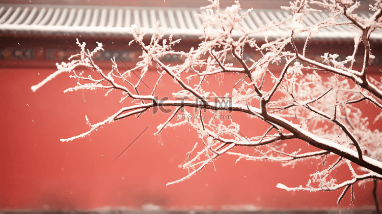 冬季故宫红墙雪景